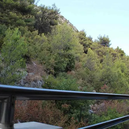 Kaqaniku 2* Shëngjin
